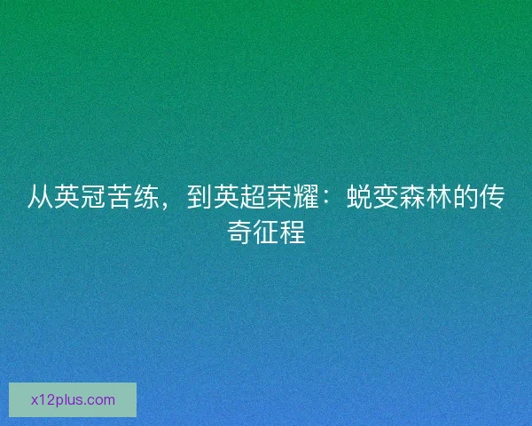 从英冠苦练,到英超荣耀:蜕变森林的传奇征程 从英冠苦练,到英超荣耀:蜕变森林的传奇征程